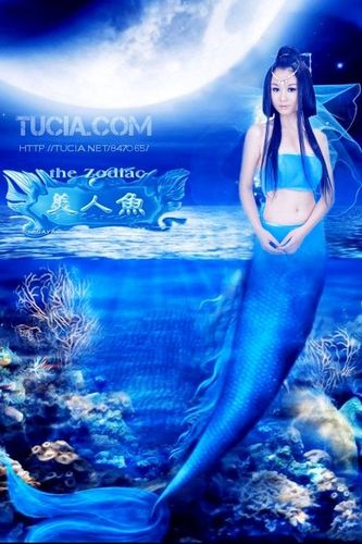 世界上真美人鱼图片