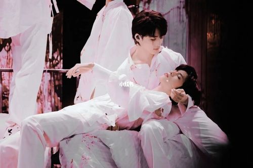 文轩cp_文轩_娱乐_明星娱乐资讯