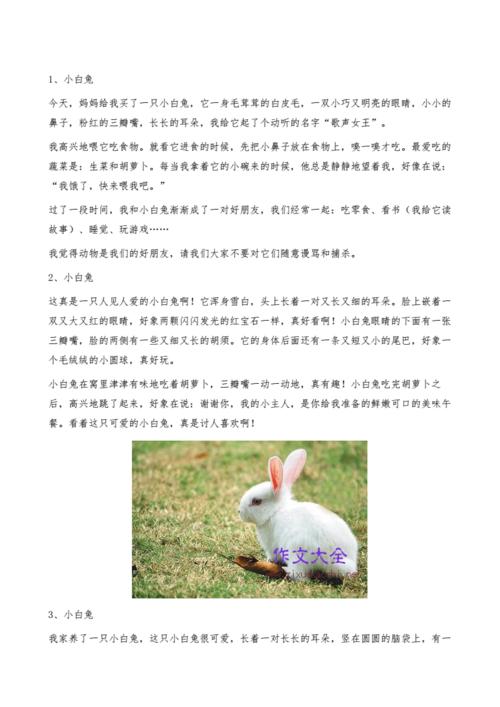 描写小白兔的作文200字小学生优秀作文docx4页