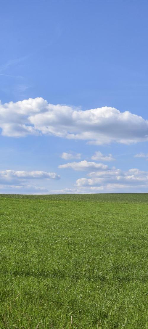 全面屏壁纸高清蓝天绿地