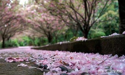 春尽落花,最凄美的暮春诗词
