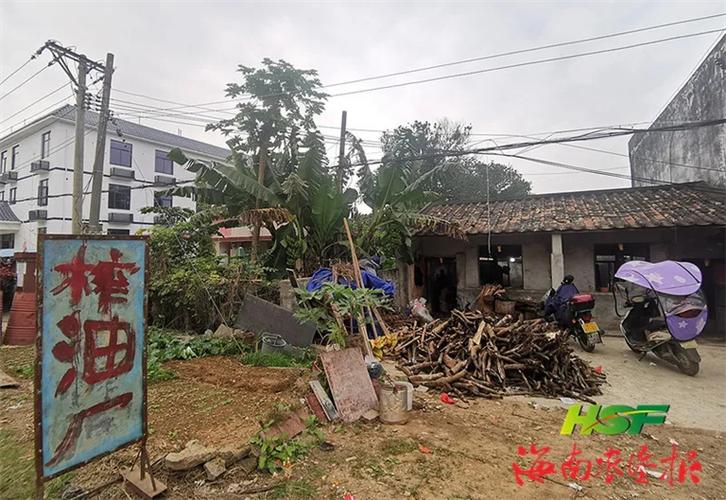 屯昌县南坤镇黄岭地区的一家油茶加工作坊.钟颢 摄