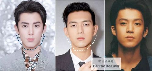 而男生则不然,本期细数的好几个标准帅哥,脸型都一个调调,特别是 下半