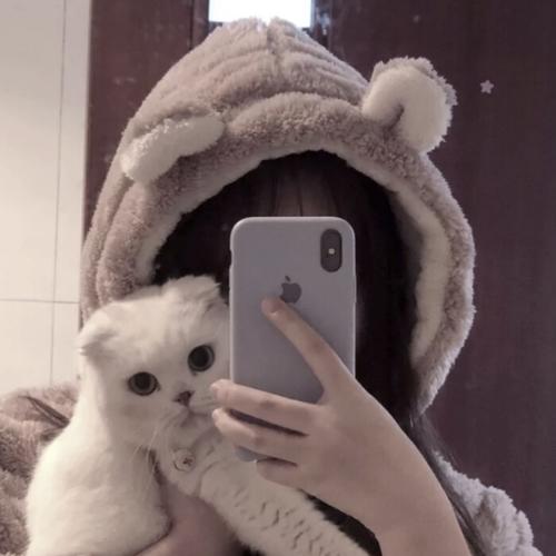 猫咪情头