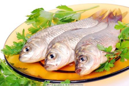 盘子里的鱼图片素材 海鲜 鱼 鱼类 鱼肉 新鲜鱼肉 肉类 美食 食物