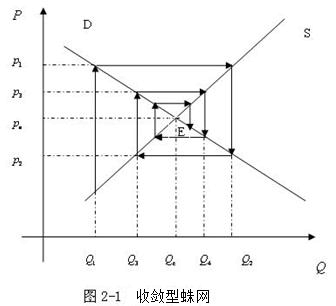 蛛网模型