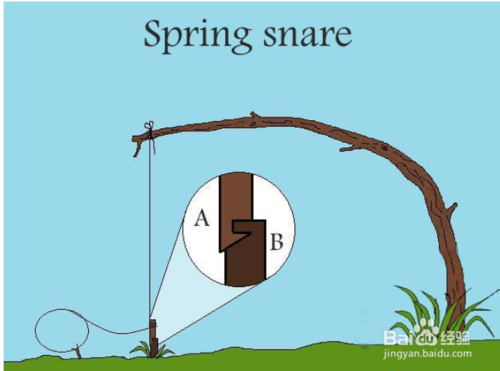简易陷阱的制作(4)
