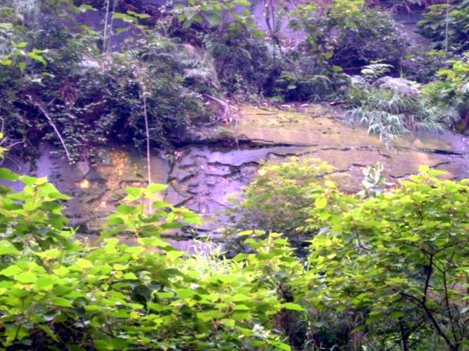 晴朗的日子,从铜锣峡温泉旁新近开辟的"铜锣峡谷"景点处拾级而