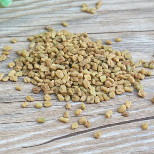 中药材香料大全芦巴子苦豆香草籽葫芦巴苦草胡巴芸香草 50g