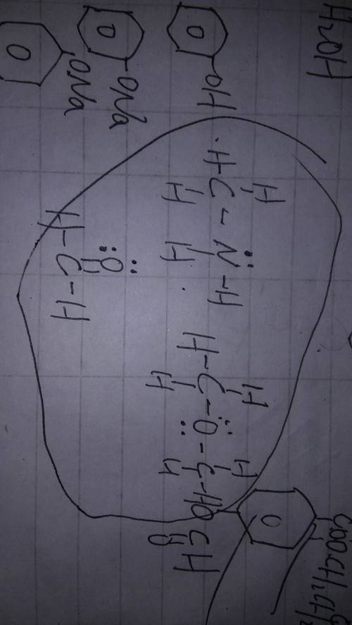 大神,路易斯结构式是什么鬼?