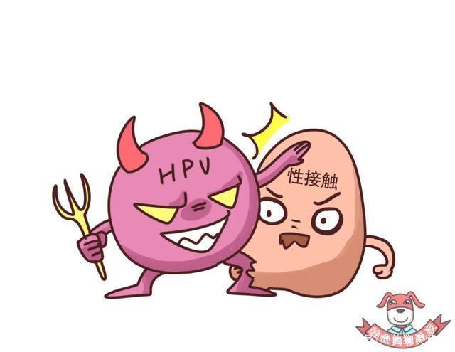 接种hpv疫苗前,你必须弄清楚的几点问题