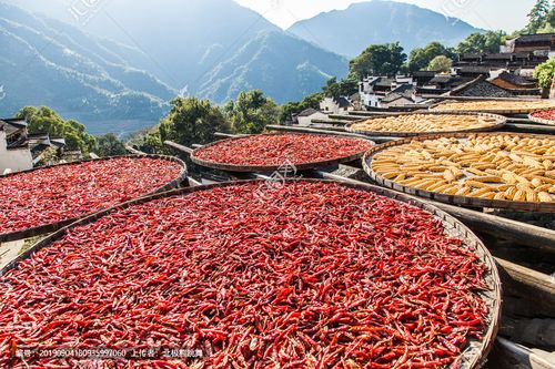 江西婺源古村落晒红辣椒