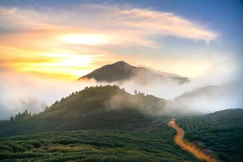 丽水东站做8路汽车到缙云东渡镇樊庄下 大洋山位于缙云县东南部的