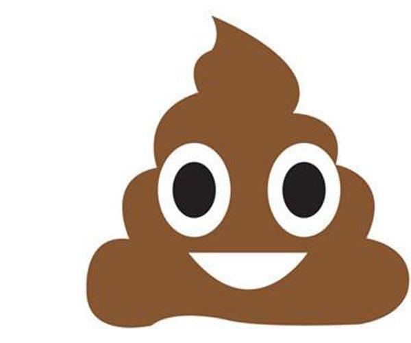 真黑便与假黑便图片 如何通过大便来判断是否有病变