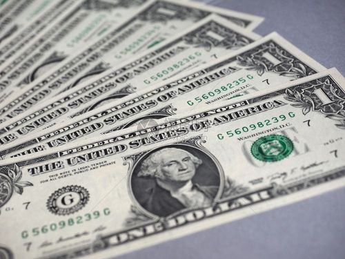 摄图网为您提供照片正版 高清照片下载,该高清照片标题为1美元钞票