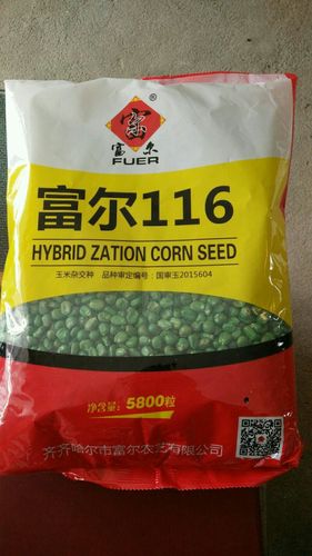 富尔1161晌地用10袋种子
