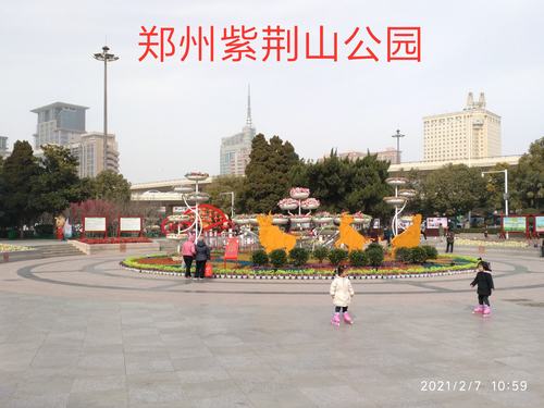 郑州紫荆山公园梅花展请你观赏!