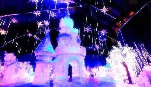 门票 上海"冰雪王国"主题乐园(电子票)【当天可定】 热推