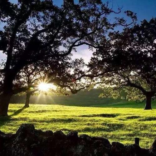 压力太大扛不住的时候不妨试试这三种解压方法