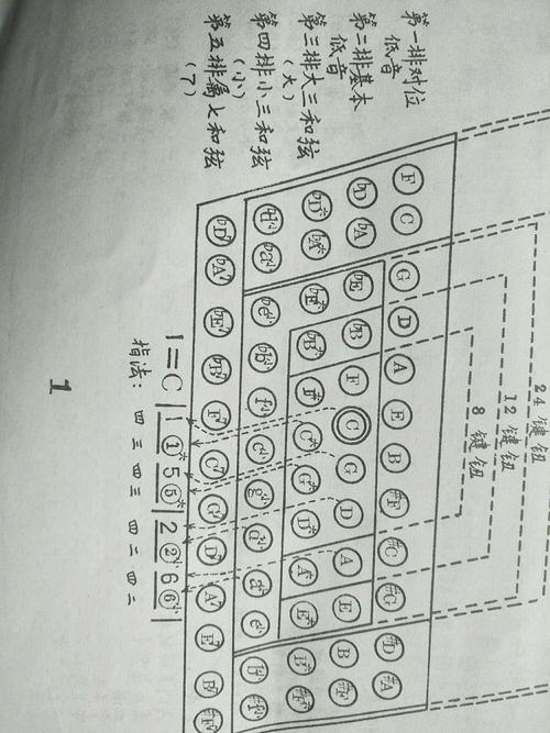 手风琴左手入门教学