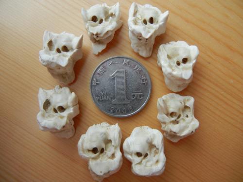 为什么猪惊骨能辟邪