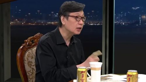 许子东有些智库是在为决策辩护这是很害人的
