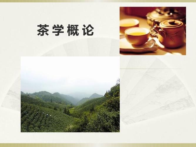 茶学概论_图文攻略_全通关攻略_高分攻略_百度攻略