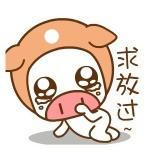 滚粗! 帽帽猪表情包_动图表情-发表情