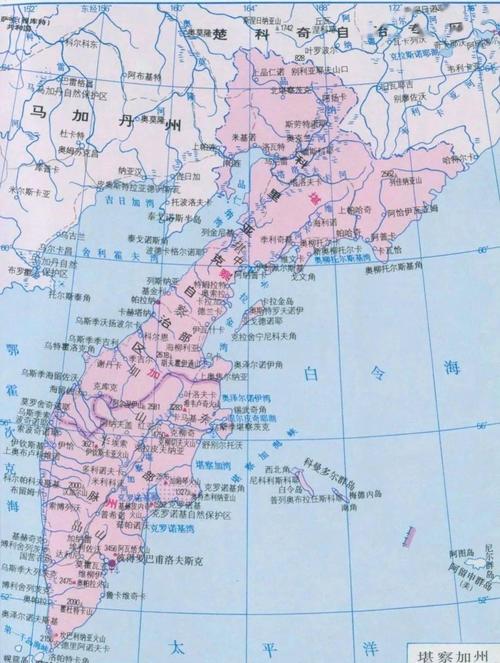 暴雨天阿穆尔州公投忙,为普京获连任铺路,在俄罗斯投资需谨慎