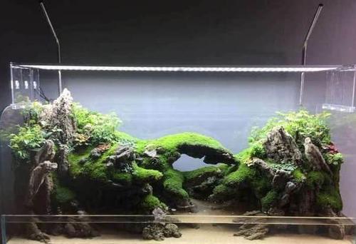 专业设计假山造景,鱼缸水景定做