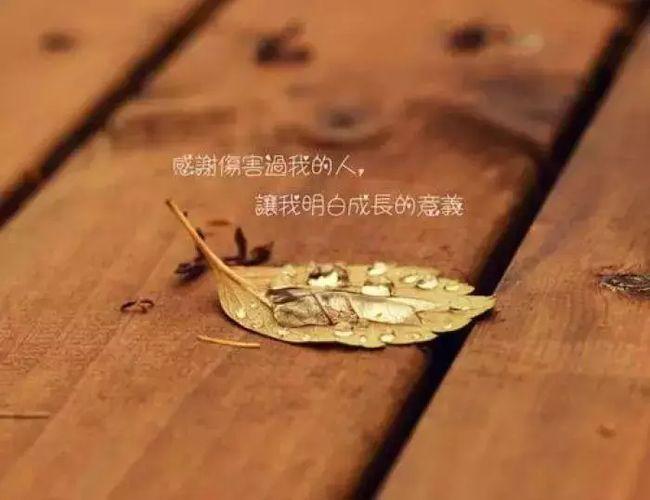 适合发说说的经典心情语录句子 发朋友圈的人生感悟经典语录