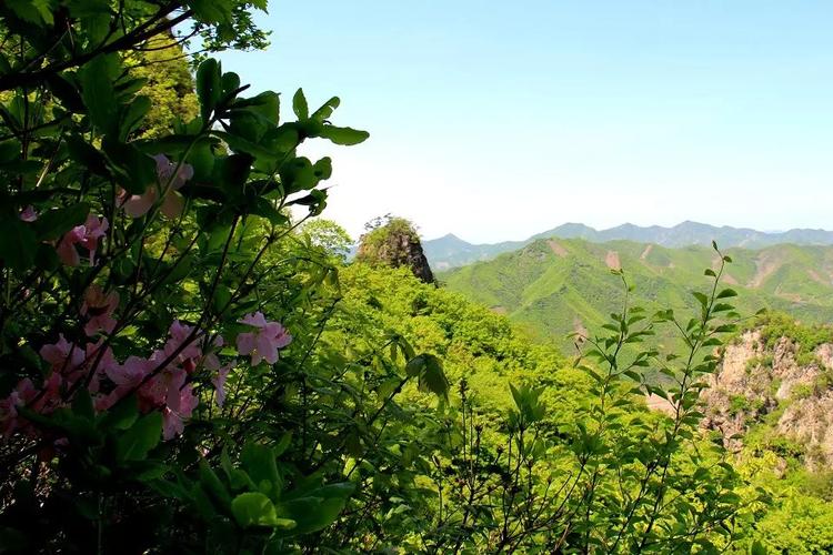 盖州猫儿岭太平庄登山活动-营口-辽宁-绿野户外网