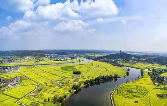 2021重庆·潼南陈抟故里菜花节2月26日开幕