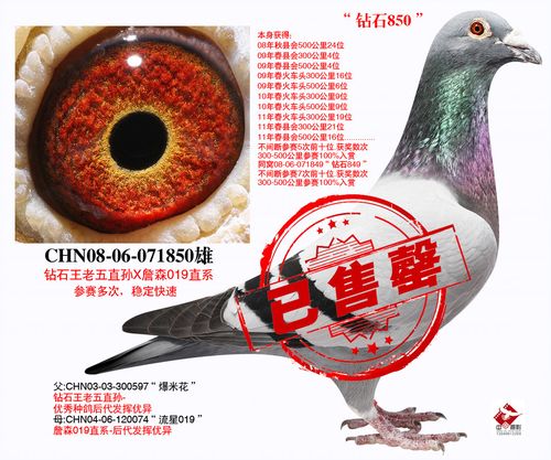 钻石王"爆米花"最佳直子(已售出)