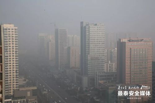 大雾还在持续泰安西宁阳东等高速收费站临时管制