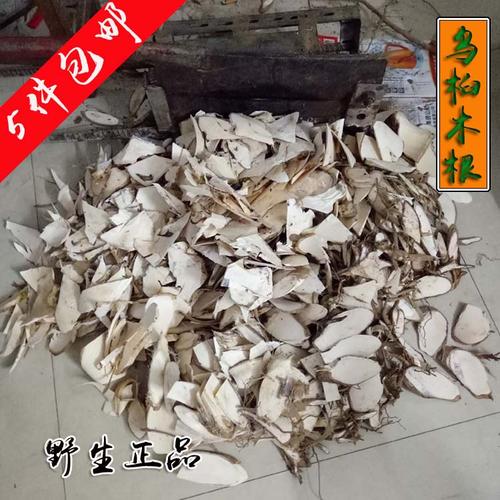 5件包邮正品野生中草药材山乌桕木根 白皮 卷子根 500克干品纯根