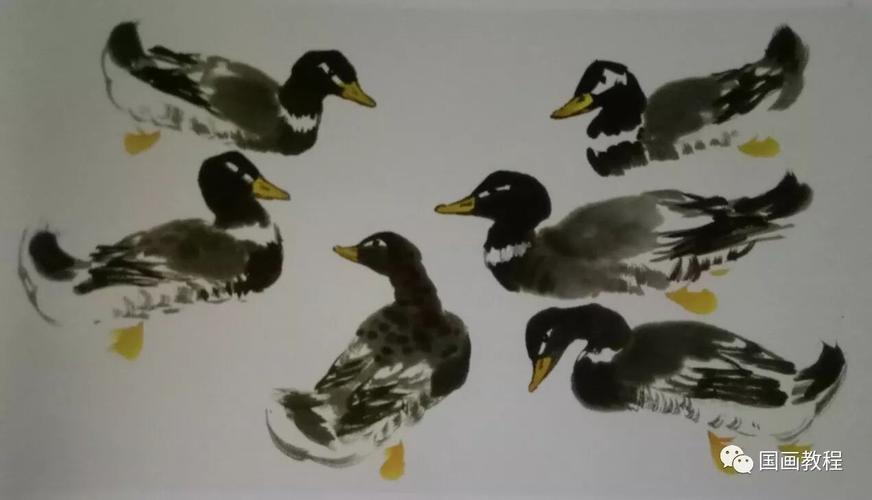 鸭子的步骤画法