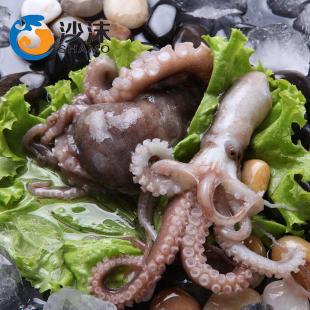 沙沫 海鲜鲜活八带鱼 长脚章鱼 墨鱼 新鲜八爪鱼海鲜水产500g
