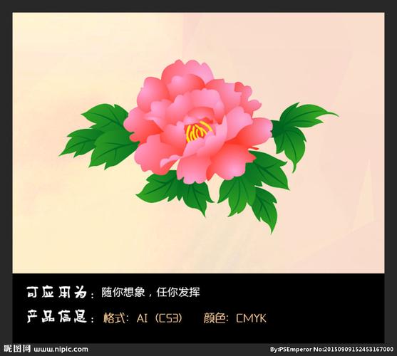 牡丹花 矢量图图片