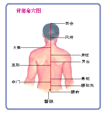 养生从人体的三大部位做起