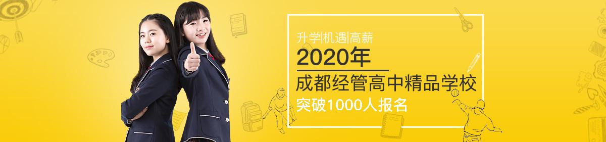 学校,教育,招生banner