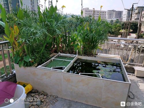 瓷砖鱼池图解教程