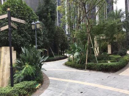 戛纳湾金棕榈