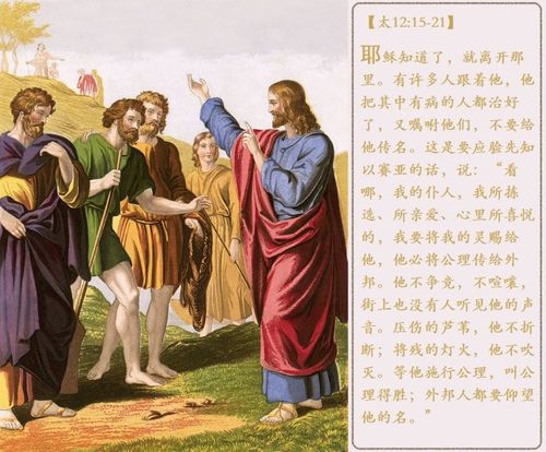 神所拣选的仆人
