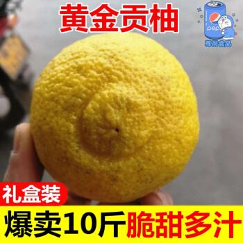 春香柚黄金贡柚湖南怀化10斤礼品盒洪江黄金贡柚小柚子雪峰柚大果掌柜