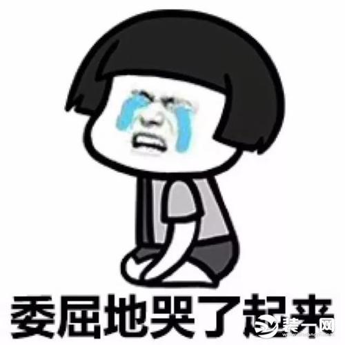 也只会一头乱麻,欲哭无泪