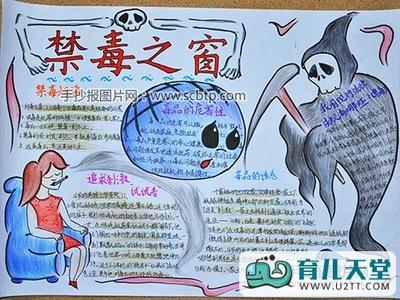 拒毒防毒从我做起的手抄报 禁毒防艾手抄报
