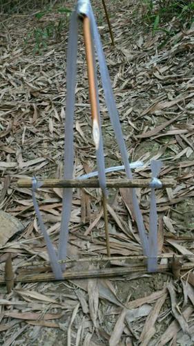 如何用绳子捕鸟