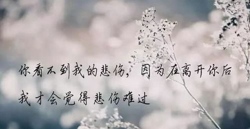 心情感悟语录,简短扎心,很感动,看完好想哭!