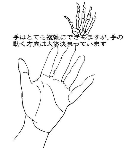 手部的基本画法知识教你画出好看的造型手